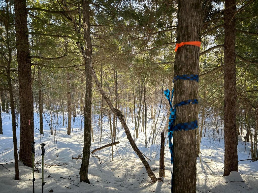 Photo of M7L31 Nelson Ridge Road N, Washington, ME 04574 (MLS # 1653897)