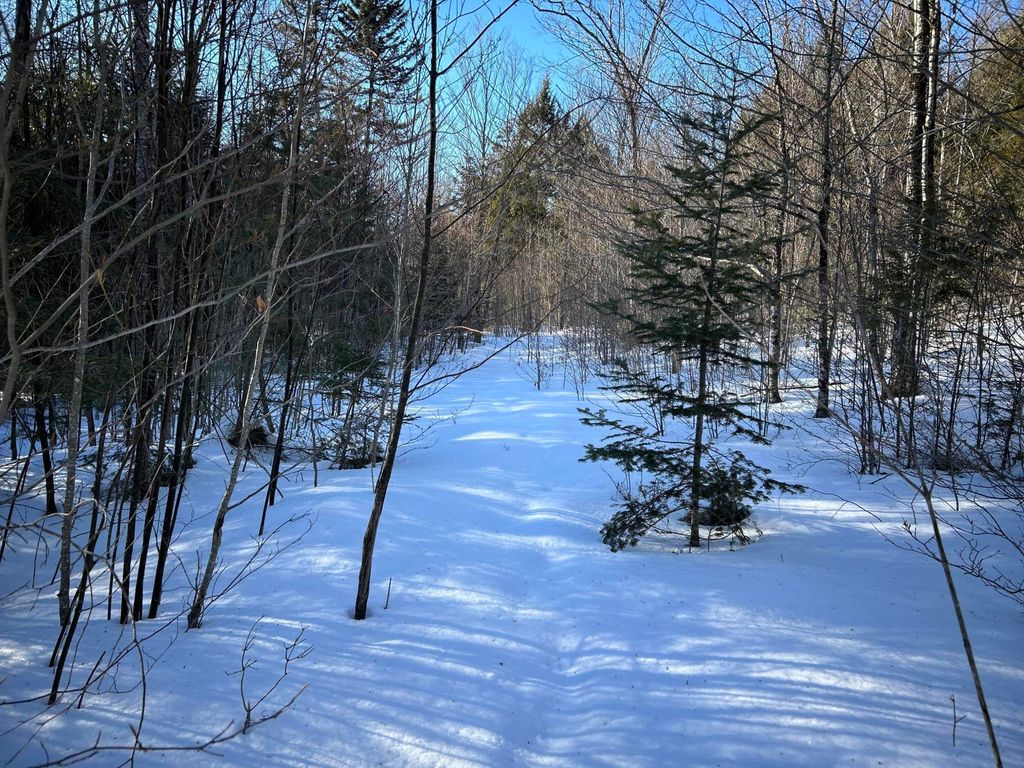 Photo of M7L31 Nelson Ridge Road N, Washington, ME 04574 (MLS # 1653897)