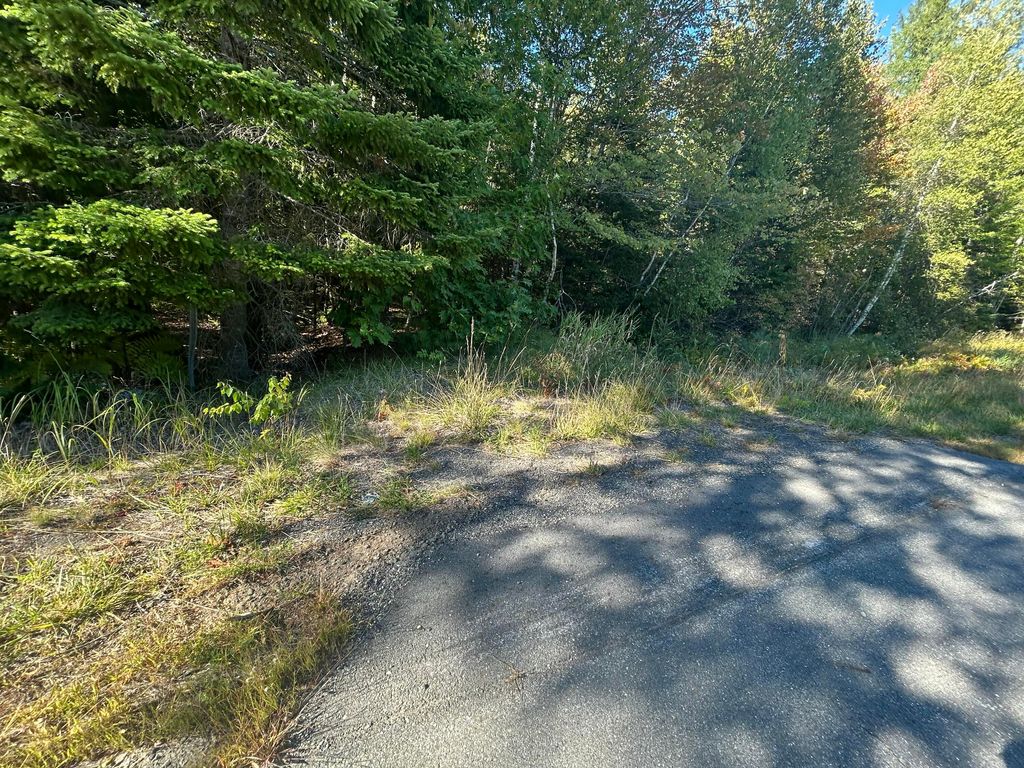 Photo of M6L24 US Route 9, Wesley, ME 04686 (MLS # 1639366)