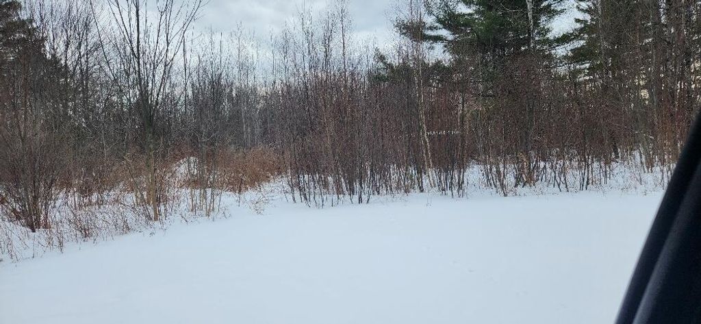Photo of 0 Country Lane, Lagrange, ME 04453 (MLS # 1652070)