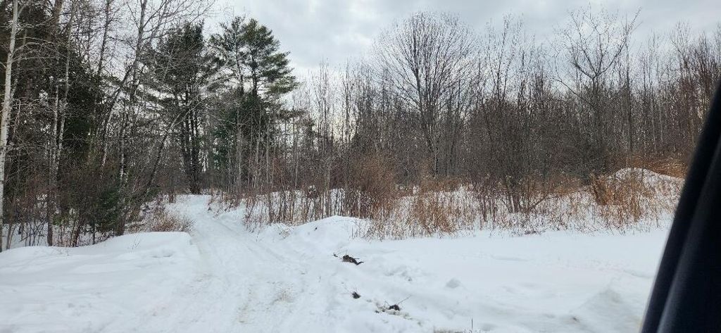 Photo of 0 Country Lane, Lagrange, ME 04453 (MLS # 1652070)