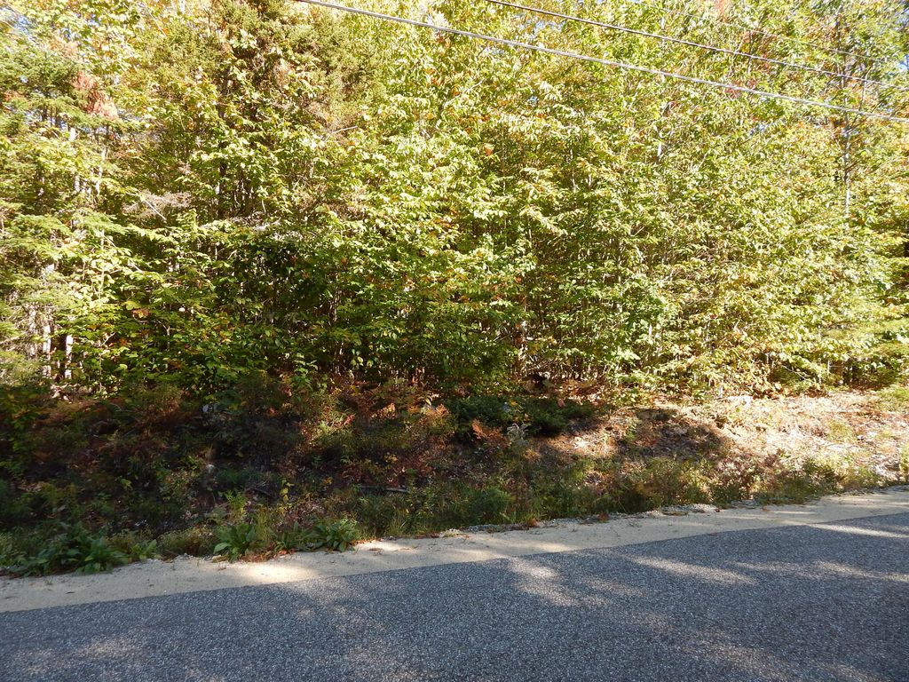 Photo of 00 Ryerson Road, Paris, ME 04271 (MLS # 1639705)