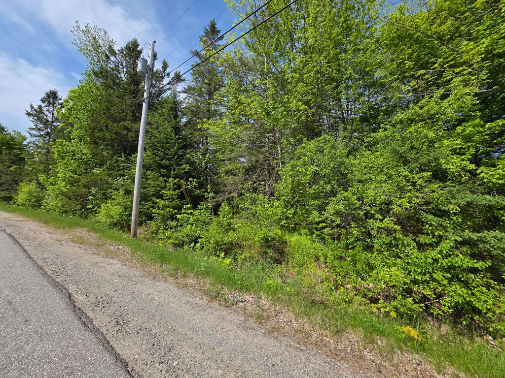 Photo of 0 Morrison Road, Bucksport, ME 04416 (MLS # 1664075)