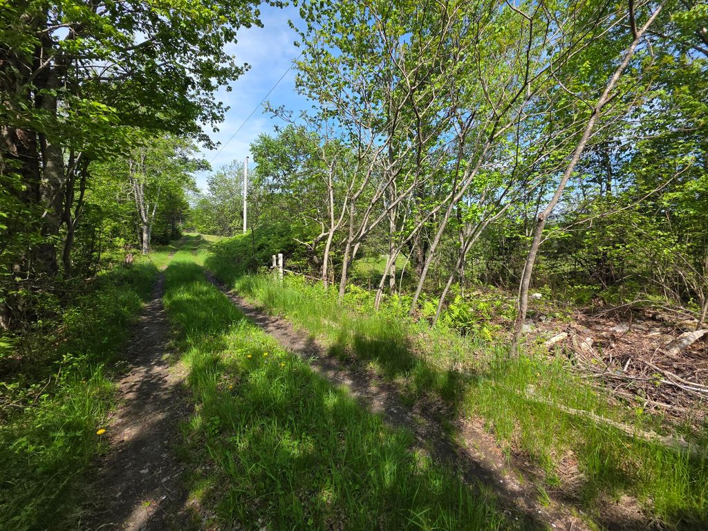 Photo of 0 Morrison Road, Bucksport, ME 04416 (MLS # 1664075)