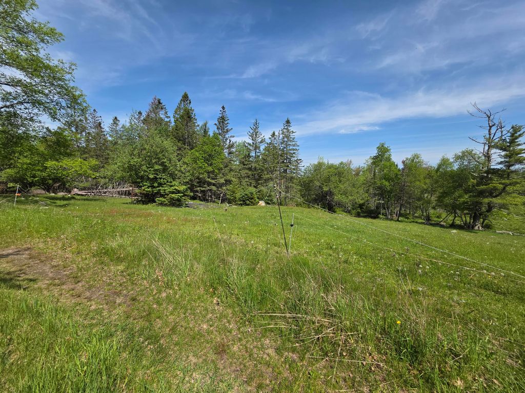 Photo of 0 Morrison Road, Bucksport, ME 04416 (MLS # 1664075)