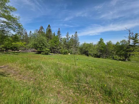 Photo of 0 Morrison Road, Bucksport, ME 04416 (MLS # 1664075)