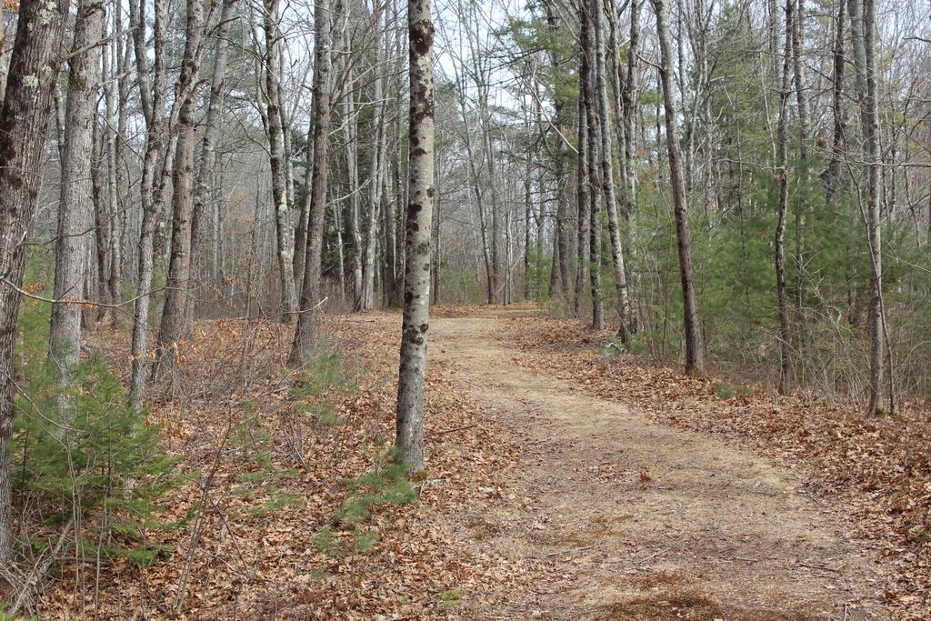 Photo of Lot 00B Knight Farm Road, Kennebunk, ME 04043 (MLS # 1656054)