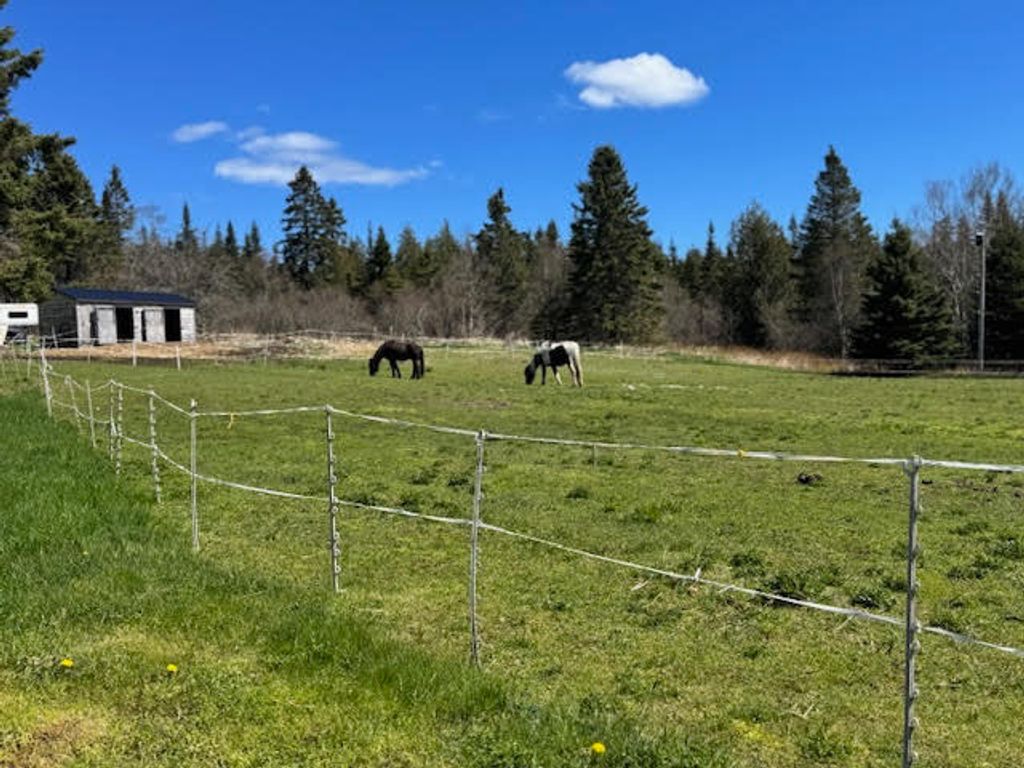 Photo of 1155 Boot Cove Road, Lubec, ME 04652 (MLS # 1661784)