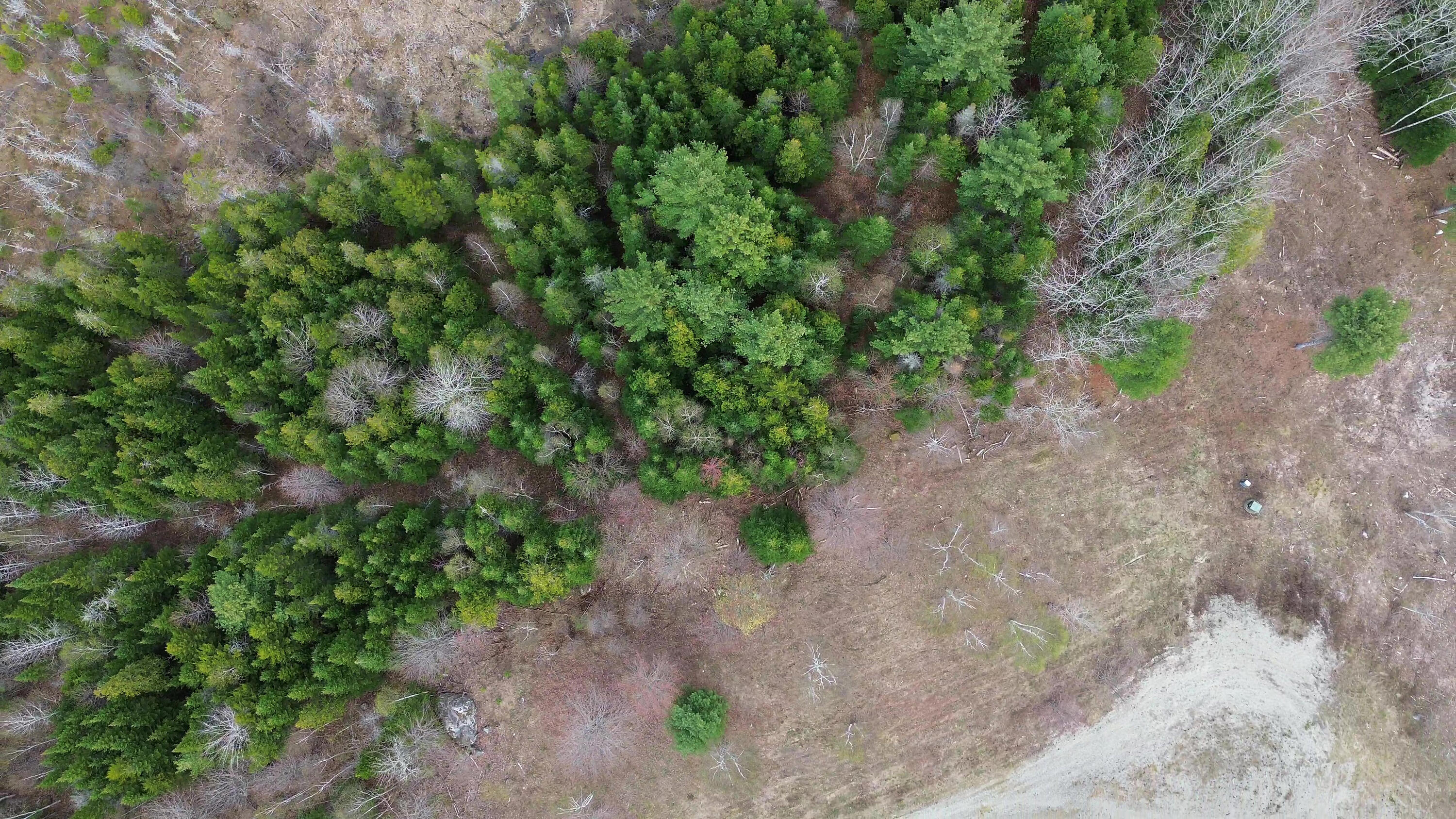 Lot 18 Bailey Mountain Road