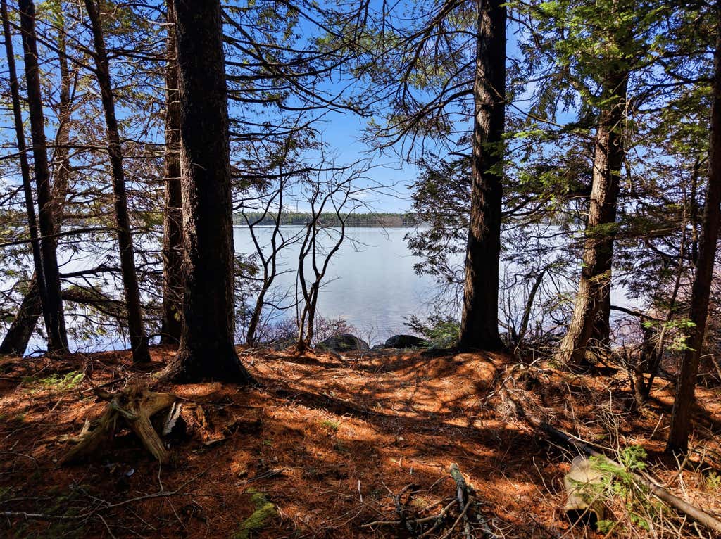 Photo of 20 Moose Trail, Waltham, ME 04605 (MLS # 1658863)