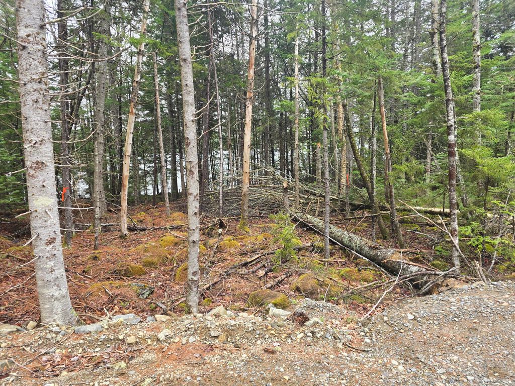 Photo of Lot C Deer Point Road, Robbinston, ME 04671 (MLS # 1641817)
