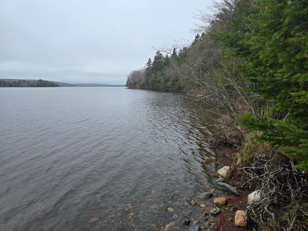 Photo of Lot C Deer Point Road, Robbinston, ME 04671 (MLS # 1641817)