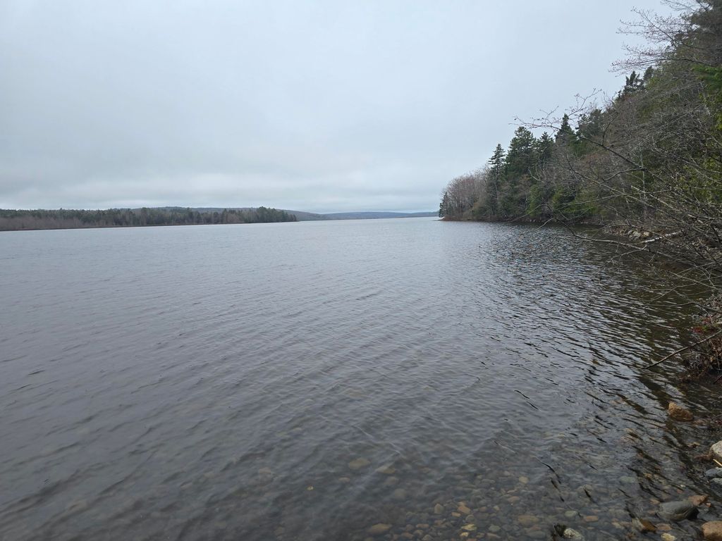Photo of Lot C Deer Point Road, Robbinston, ME 04671 (MLS # 1641817)