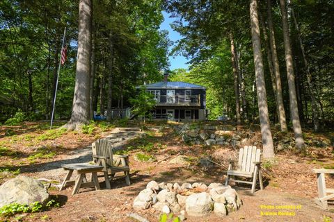 Photo of 223 Cape Monday Road, Harrison, ME 04040 (MLS # 1656203)