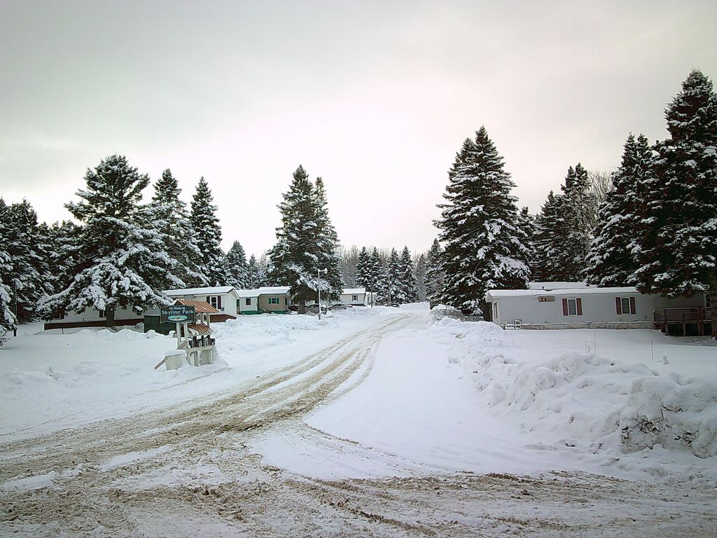 Photo of 435 Parsons Road, Presque Isle, ME 04769 (MLS # 1649012)