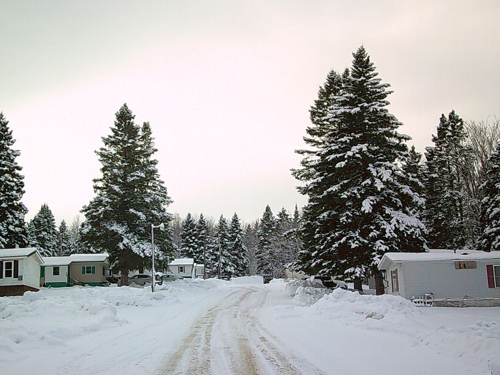 Photo of 435 Parsons Road, Presque Isle, ME 04769 (MLS # 1649012)