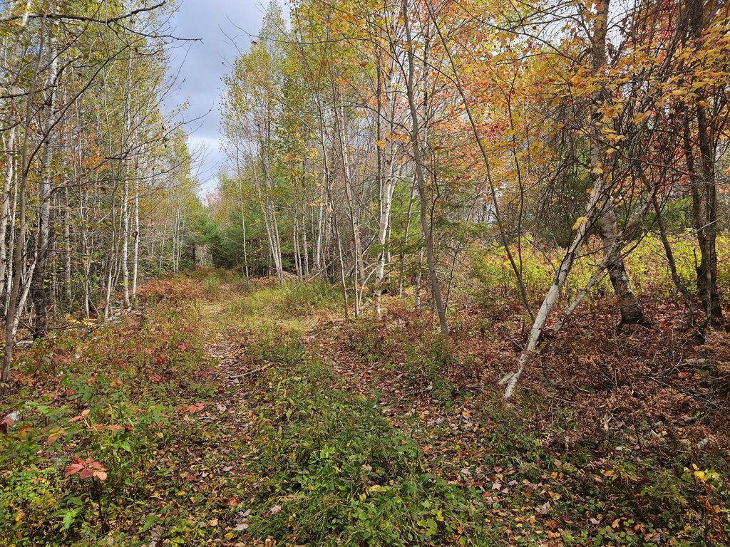 Photo of Map R09, Lot 12, Fox Run Drive, Mariaville, ME 04605 (MLS # 1640563)
