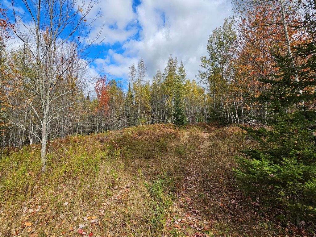 Photo of Map R09, Lot 12, Fox Run Drive, Mariaville, ME 04605 (MLS # 1640563)