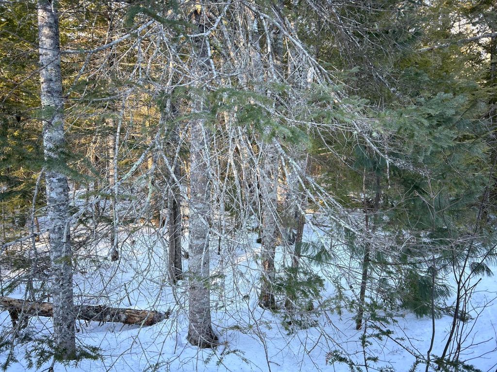 Photo of M7L22 Nelson Ridge Road N, Washington, ME 04574 (MLS # 1653895)