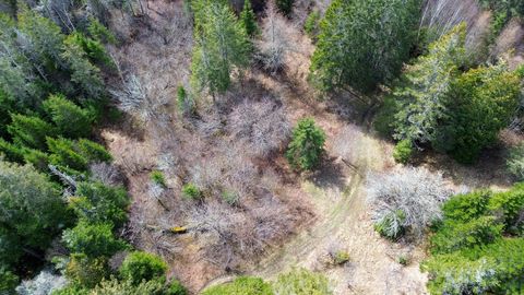 Photo of M WA 032 Plan 01 L 101.1, 101.6, 101.7 Ln, Trescott Twp, ME 04652 (MLS # 1659632)