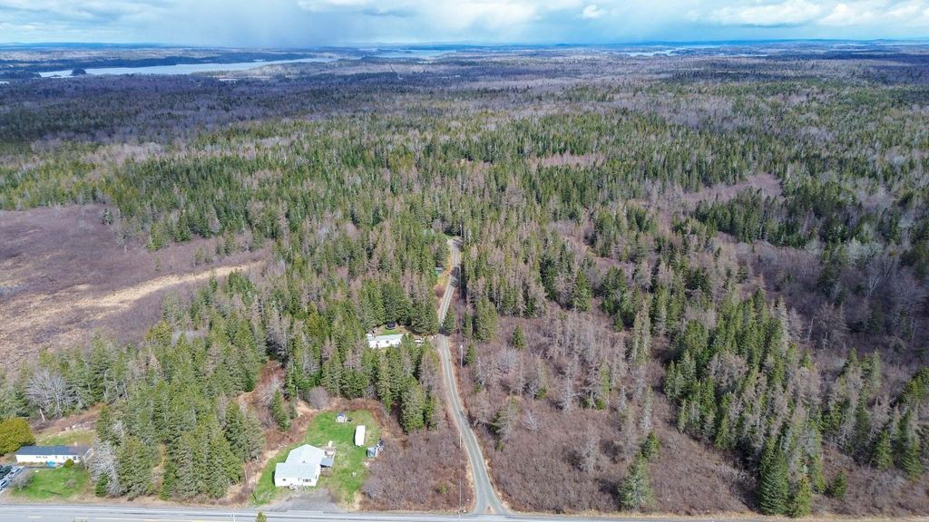 Photo of M WA 032 Plan 01 L 101.1, 101.6, 101.7 Ln, Trescott Twp, ME 04652 (MLS # 1659632)