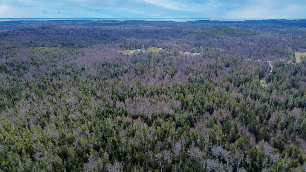 Photo of M WA 032 Plan 01 L 101.1, 101.6, 101.7 Ln, Trescott Twp, ME 04652 (MLS # 1659632)