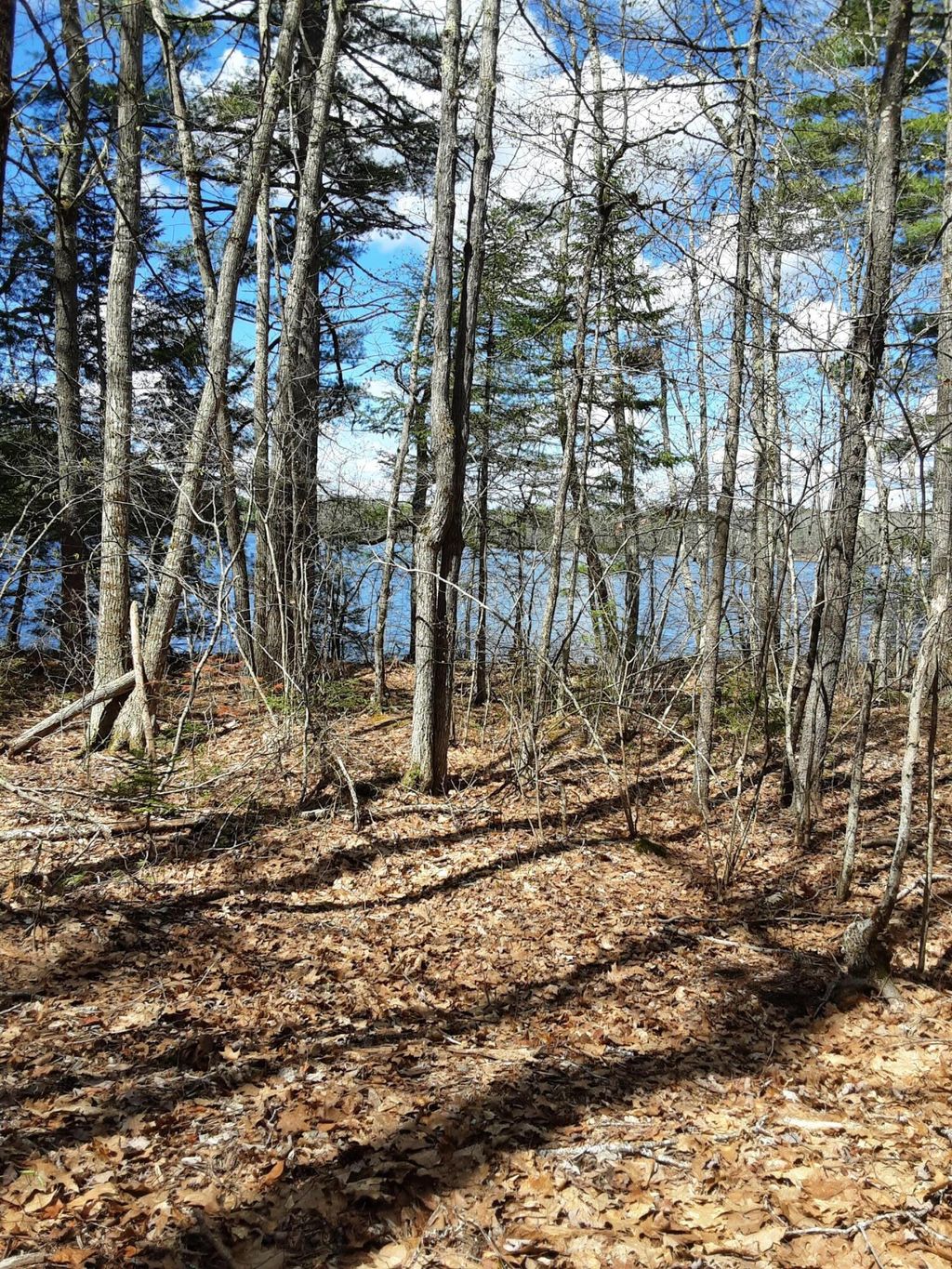 Photo of 0 Libby Road, Jefferson, ME 04348 (MLS # 1661263)