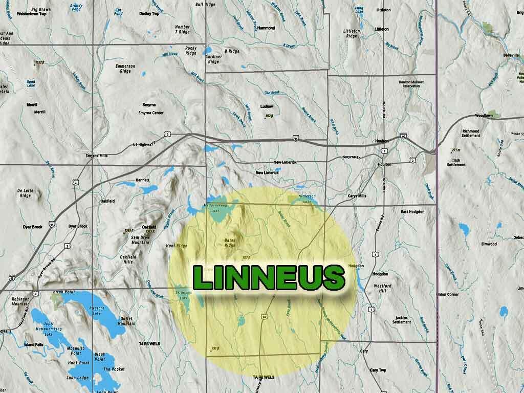 Lot 11-3-1 New Limerick Road