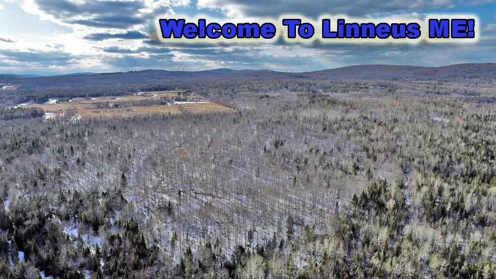 Lot 11-3-1 New Limerick Road