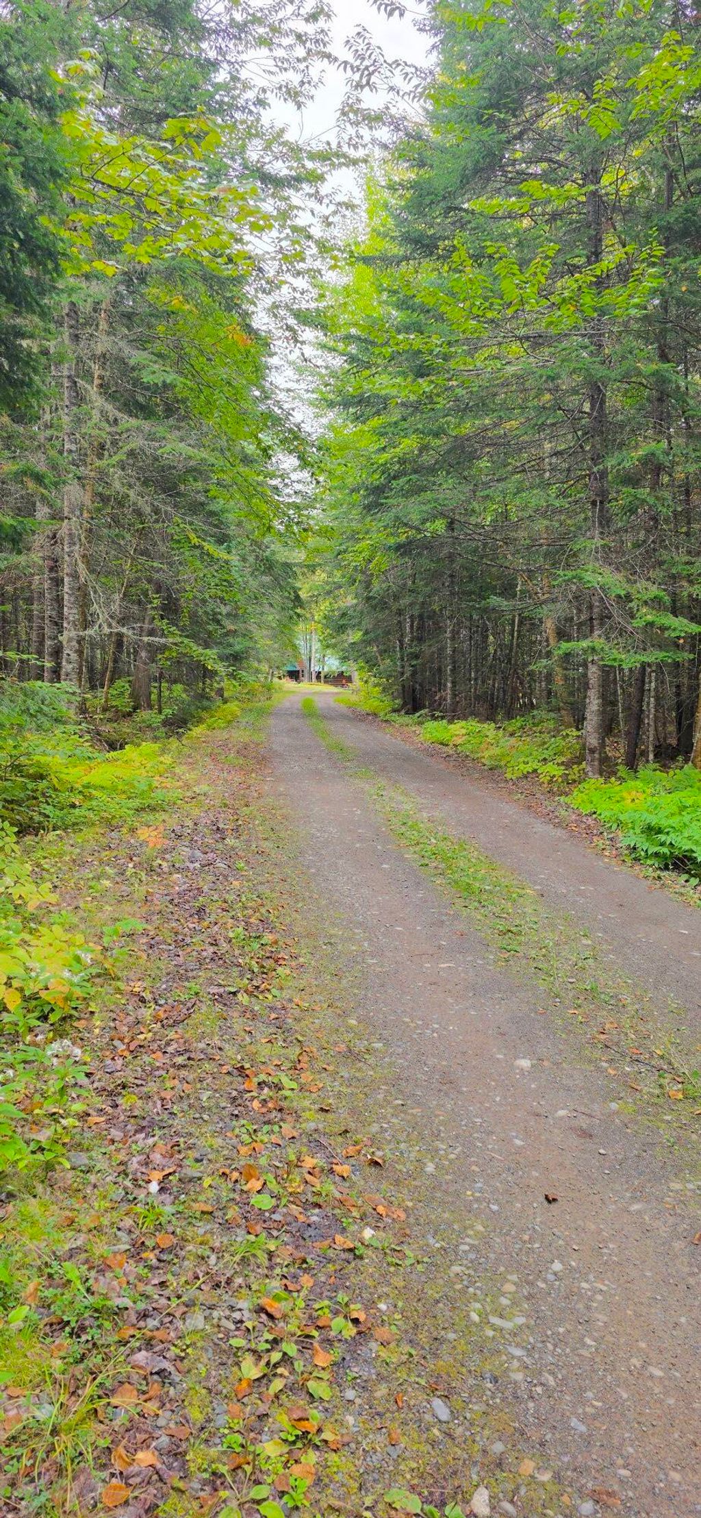 Photo of 9 Jerry's Road, Masardis, ME 04732 (MLS # 1640032)