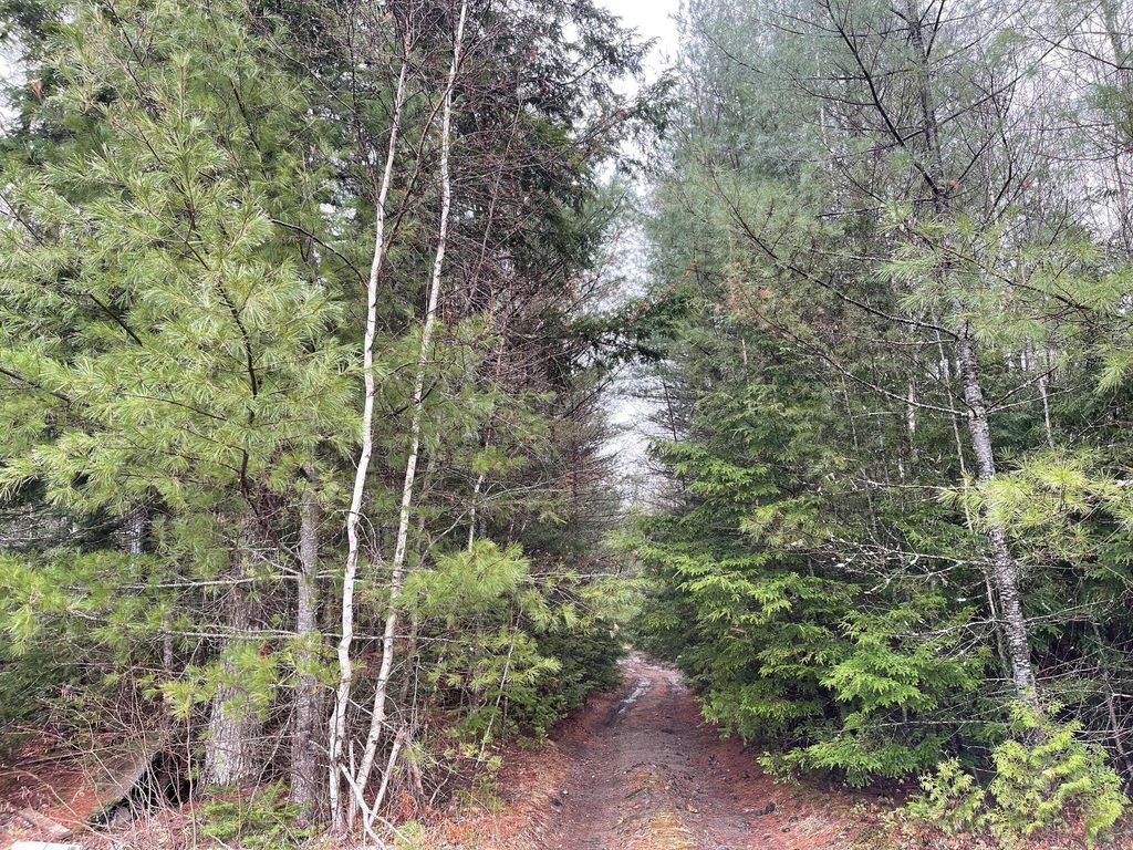 Photo of Lot 10-14 Ten Road and Boynton Street Street, Bradley, ME 04411 (MLS # 1660522)