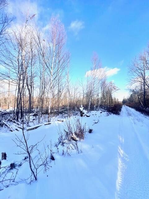 Photo of M8 P/O 1 Drews Mill Road, Linneus, ME 04730 (MLS # 1645929)