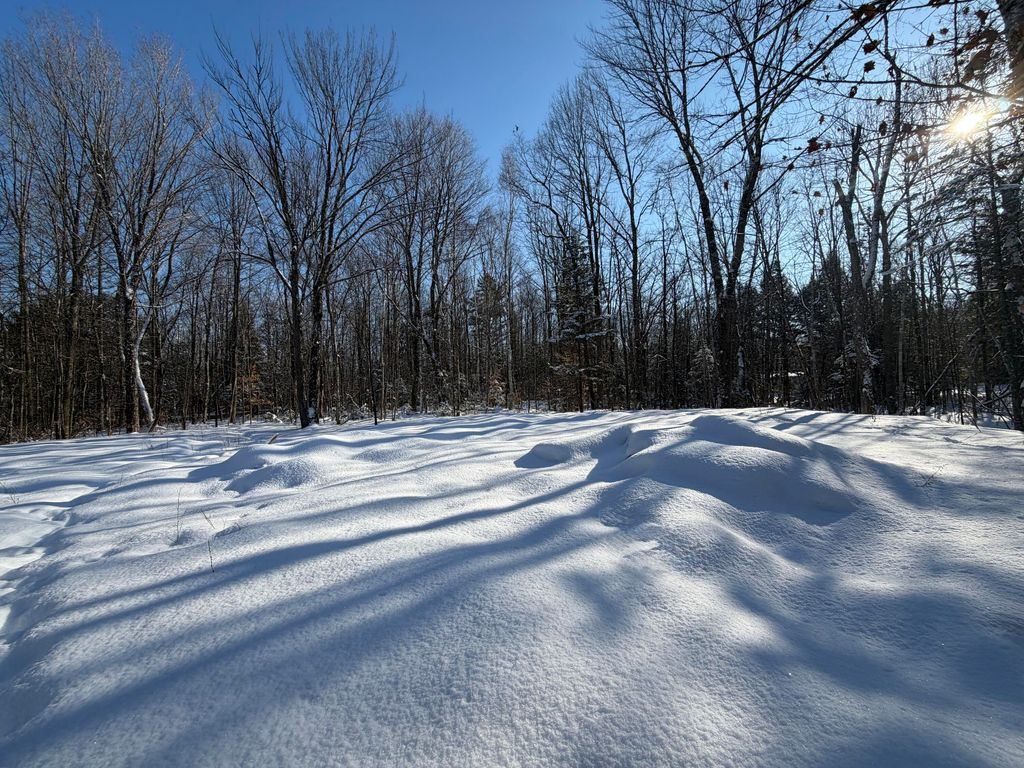 Photo of 36 Ladd Road, Sebec, ME 04481 (MLS # 1650200)