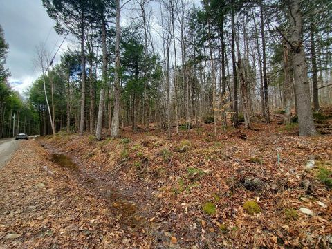 Photo of 0 Sandy Beach Road, Danforth, ME 04424 (MLS # 1658198)