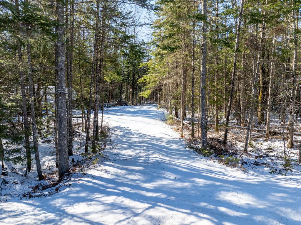 Photo of 382 Woodland Road, Princeton, ME 04668 (MLS # 1655794)