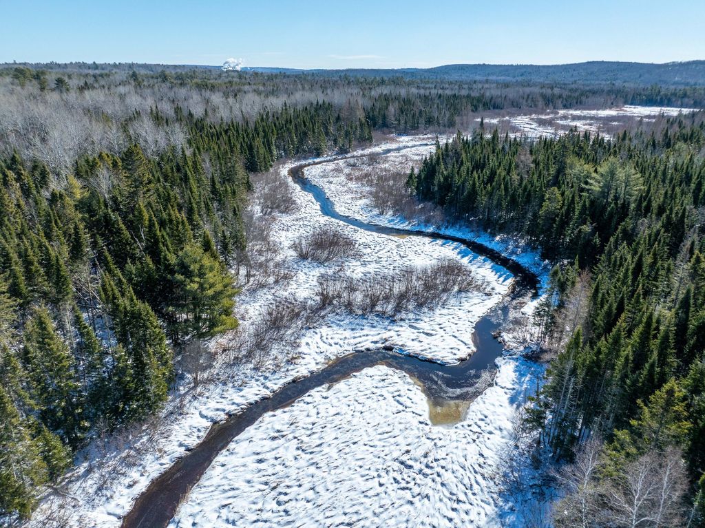 Photo of 382 Woodland Road, Princeton, ME 04668 (MLS # 1655794)