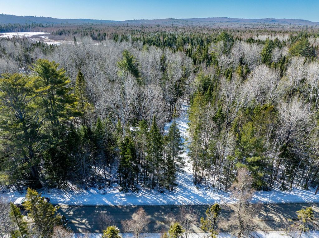 Photo of 382 Woodland Road, Princeton, ME 04668 (MLS # 1655794)