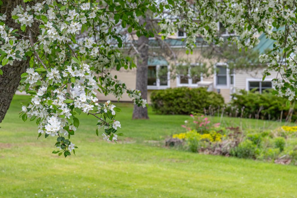 Photo of 303 Williams Road, Bradford, ME 04410 (MLS # 1653724)