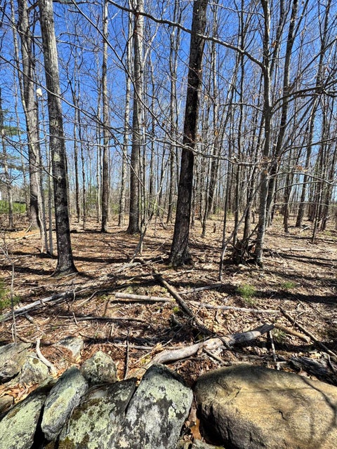 Photo of TBD Oakwood Drive, West Gardiner, ME 04345 (MLS # 1659736)