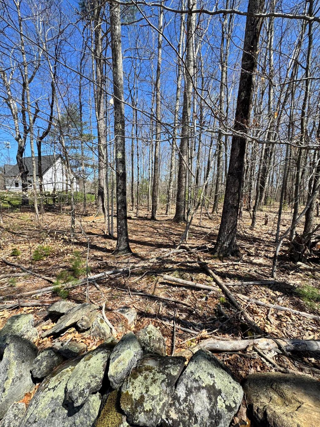 Photo of TBD Oakwood Drive, West Gardiner, ME 04345 (MLS # 1659736)