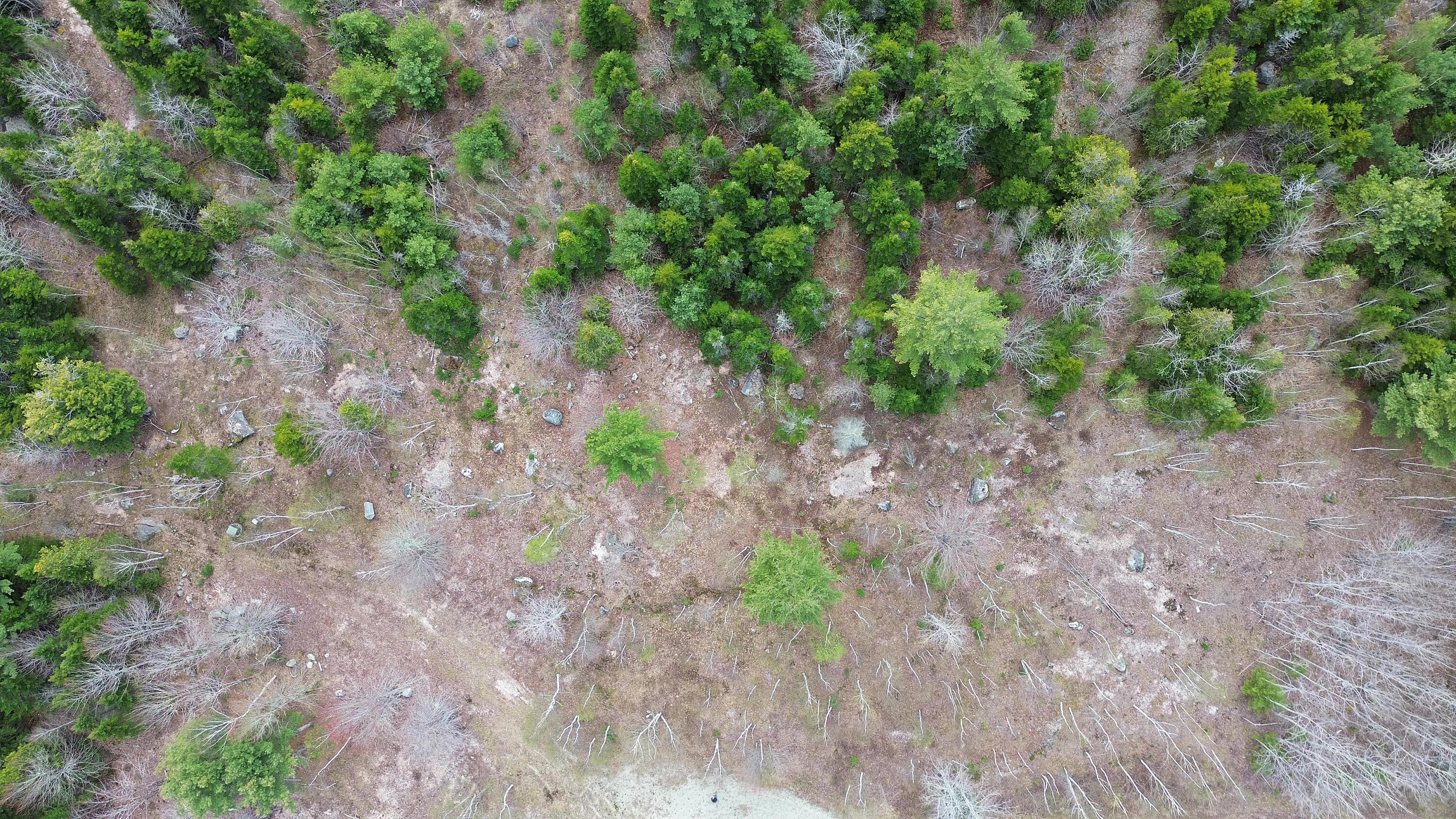 Lot 16 Bailey Mountain Road