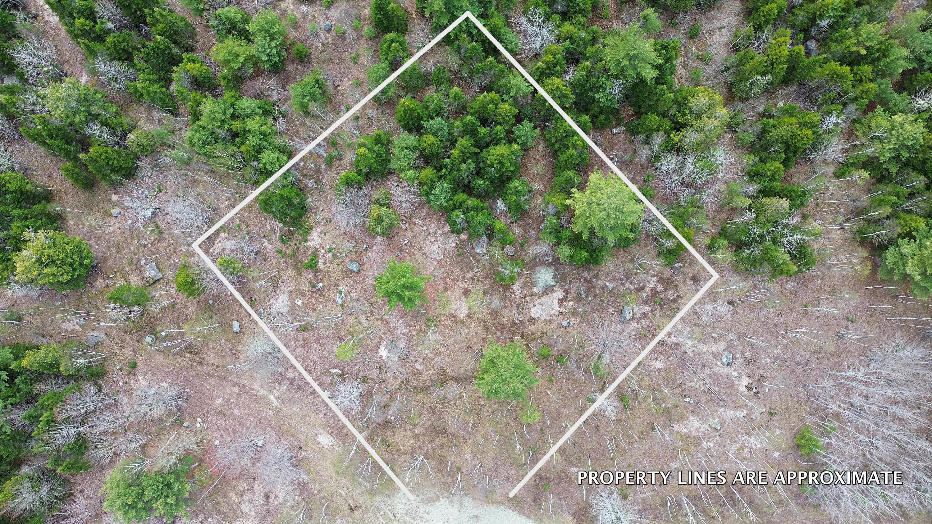 Lot 16 Bailey Mountain Road