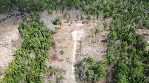 Photo of Lot 16 Bailey Mountain Road, Franklin, ME 04634 (MLS # 1661746)