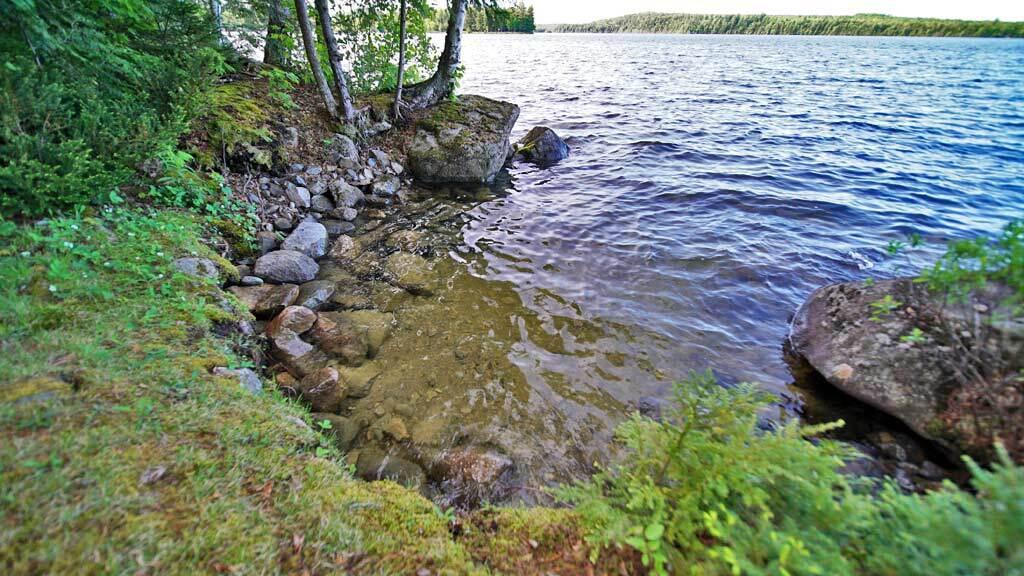 803 Chadwick Point Road