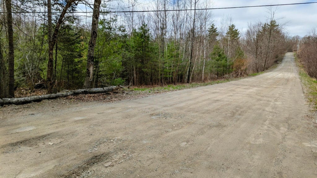 Photo of M2 L8-11 Old County Road, Hartland, ME 04943 (MLS # 1660078)