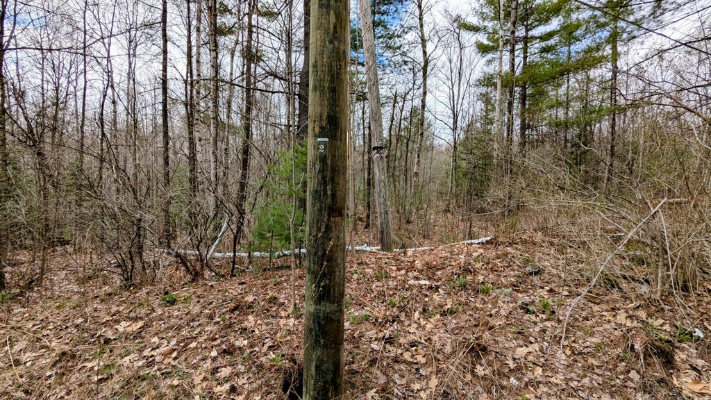 Photo of M2 L8-11 Old County Road, Hartland, ME 04943 (MLS # 1660078)
