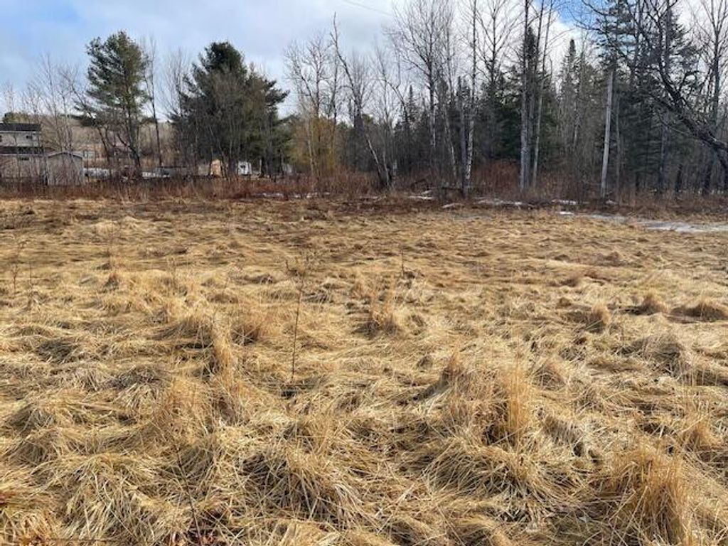 Photo of 387 &amp; 377 Main Street, Mattawamkeag, ME 04459 (MLS # 1655927)