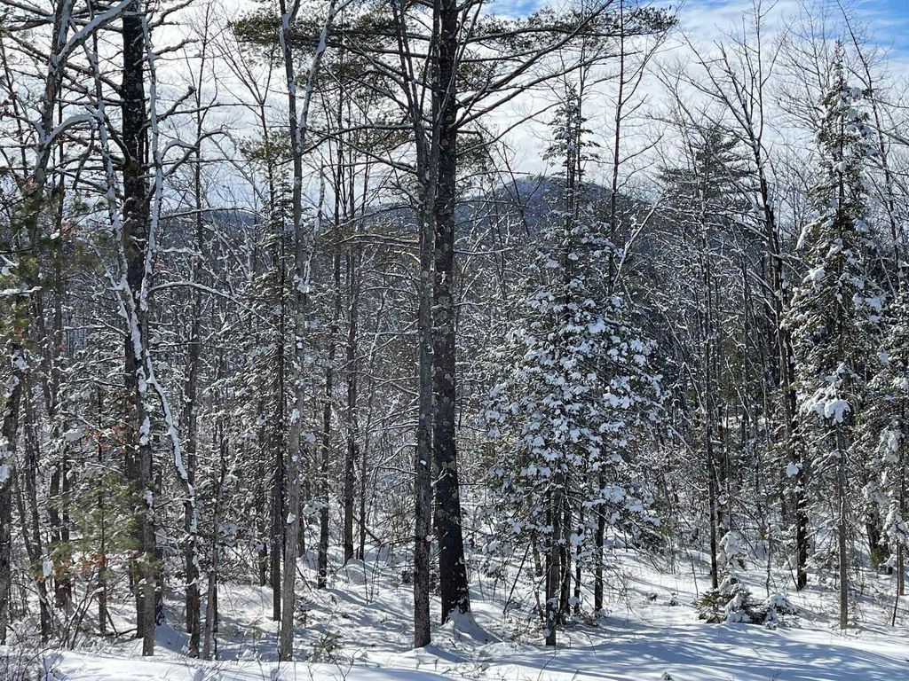 Photo of 0 Misty Lane0 Lane, Brownfield, ME 04010 (MLS # 1652758)