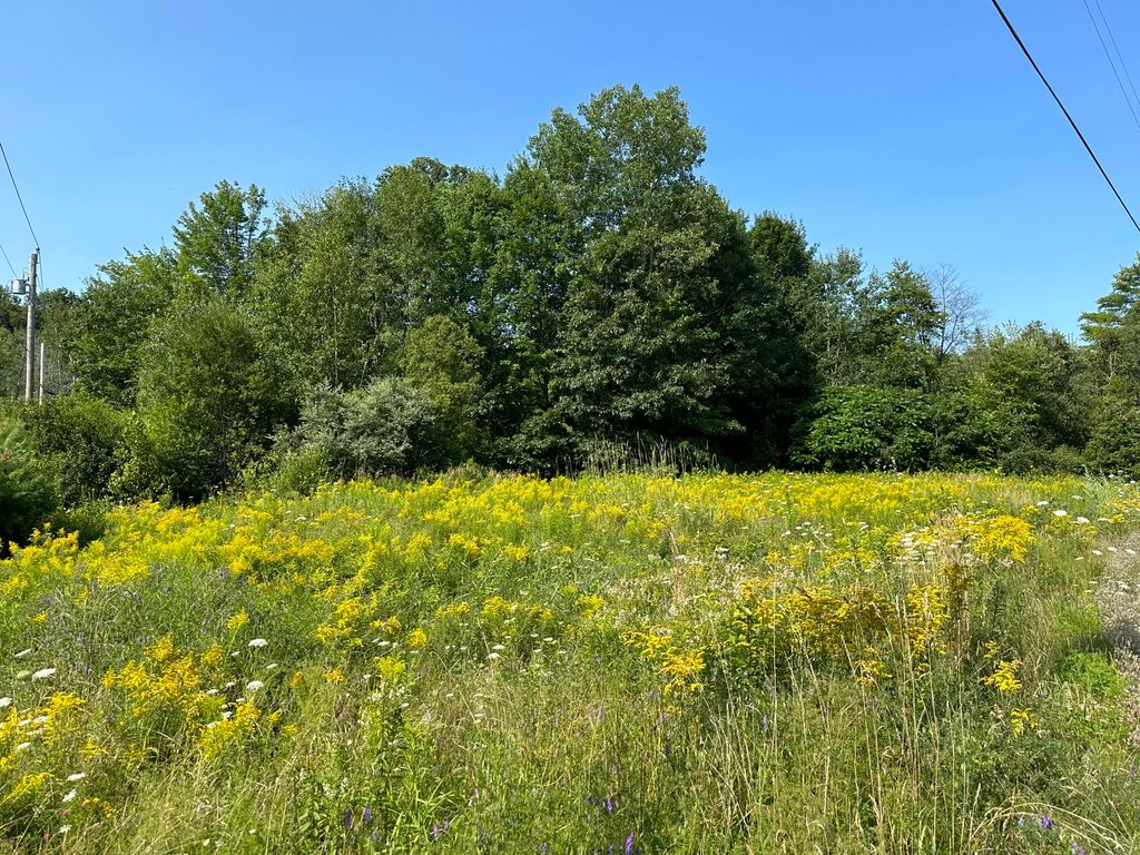 Photo of 1 Bowling Green Lane, Belfast, ME 04915 (MLS # 1653377)