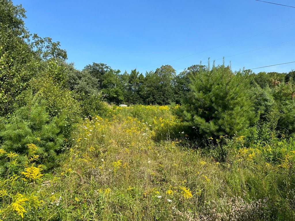 Photo of 1 Bowling Green Lane, Belfast, ME 04915 (MLS # 1653377)